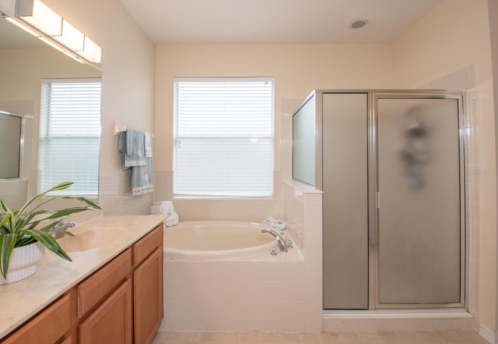 Image 18 of 36 For 11021 Silver Dancer Drive