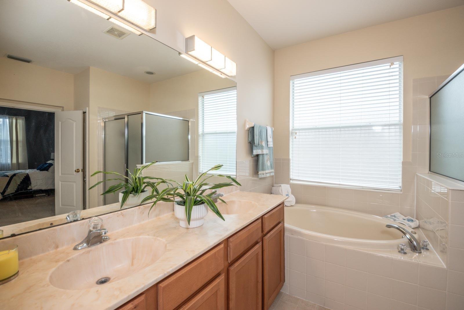 Image 19 of 36 For 11021 Silver Dancer Drive