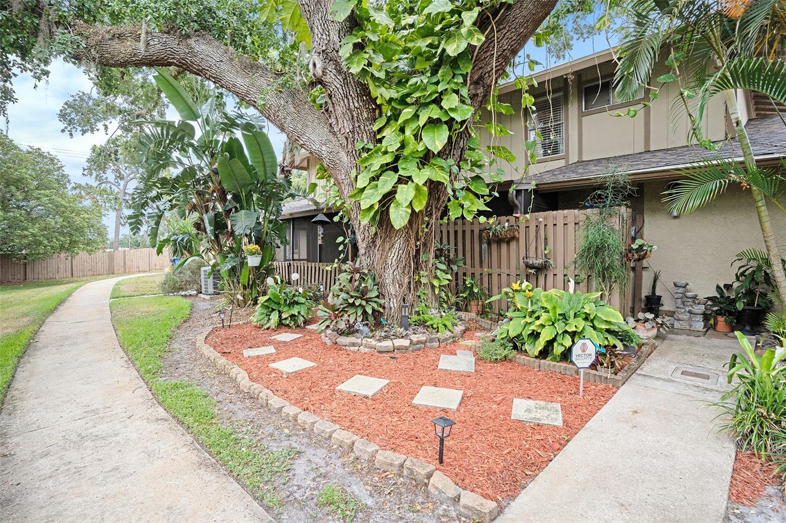 Listing photo id 21 for 3203 Doe Court