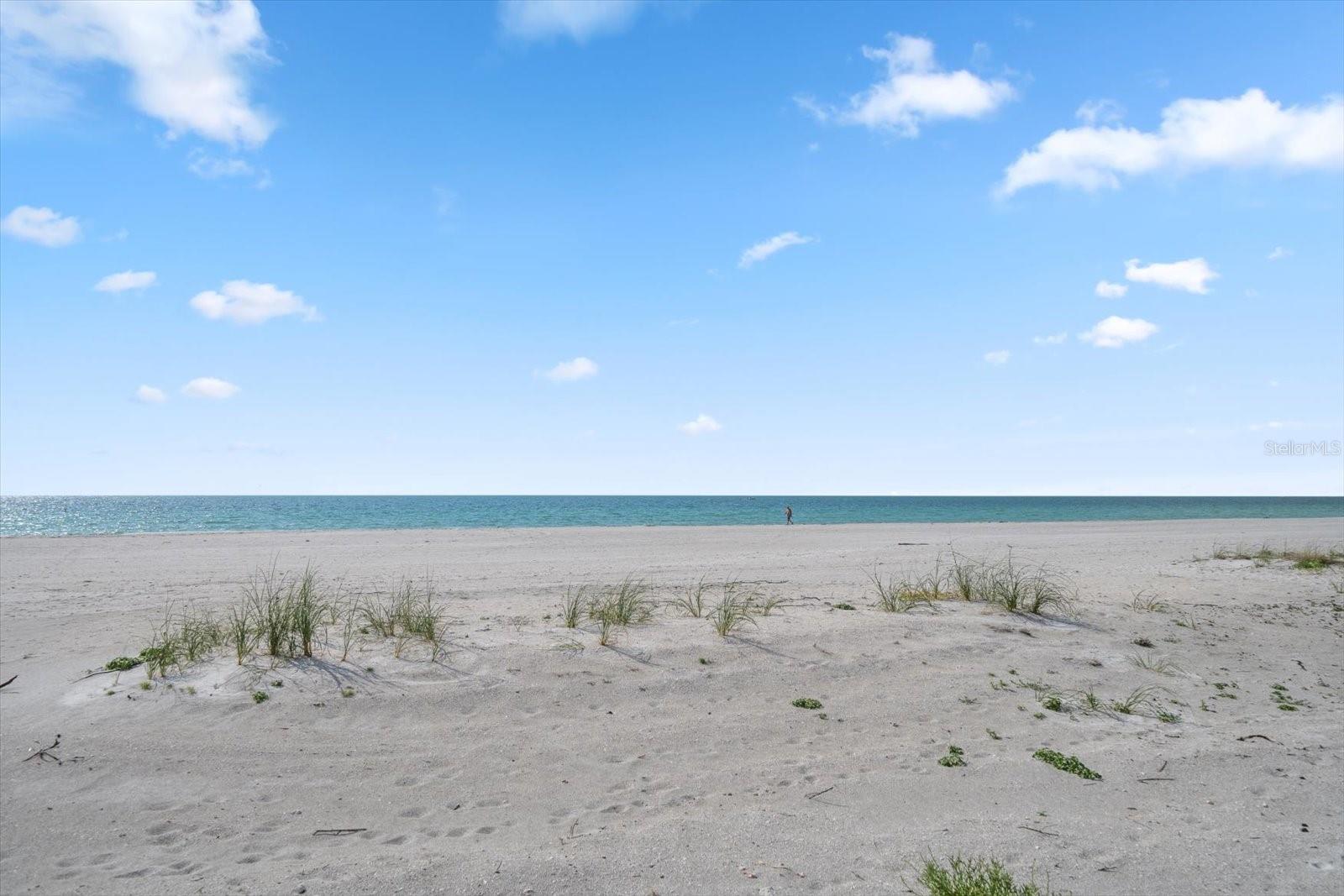 Listing photo id 27 for 1400 Gulf Boulevard 804