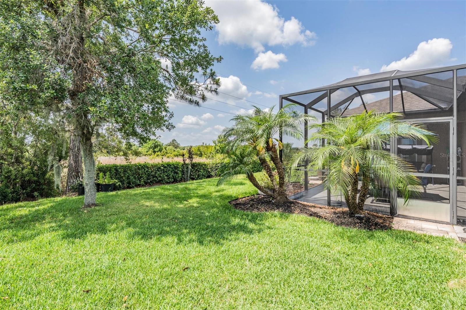 Listing photo id 29 for 32242 Summerglade Drive