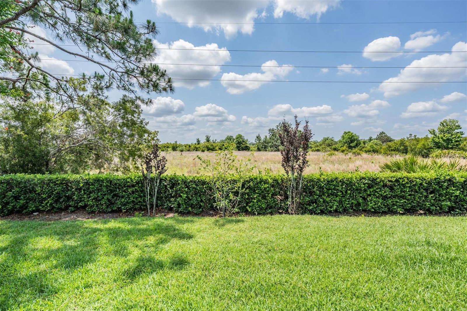 Listing photo id 34 for 32242 Summerglade Drive