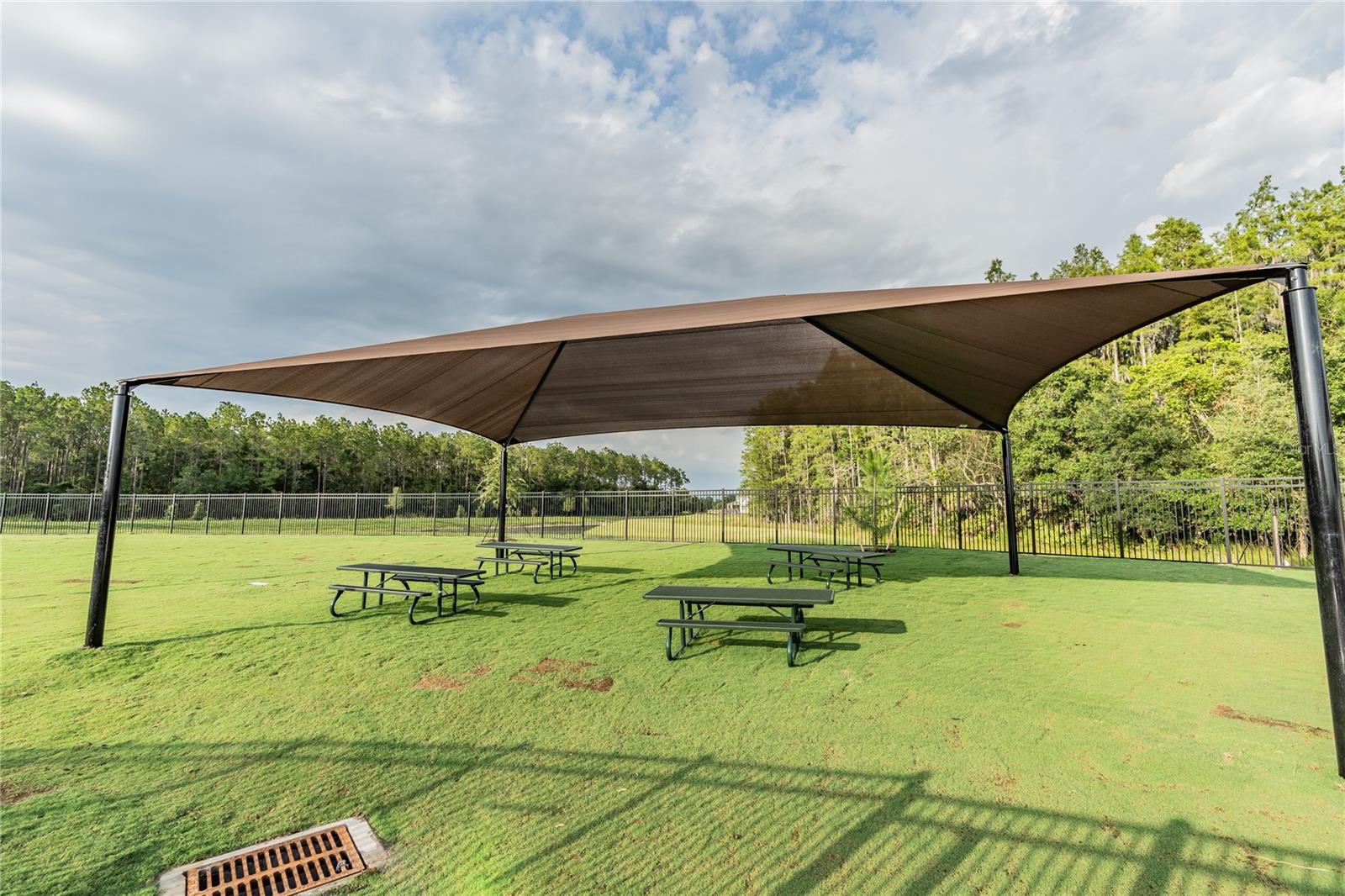 Listing photo id 50 for 32242 Summerglade Drive