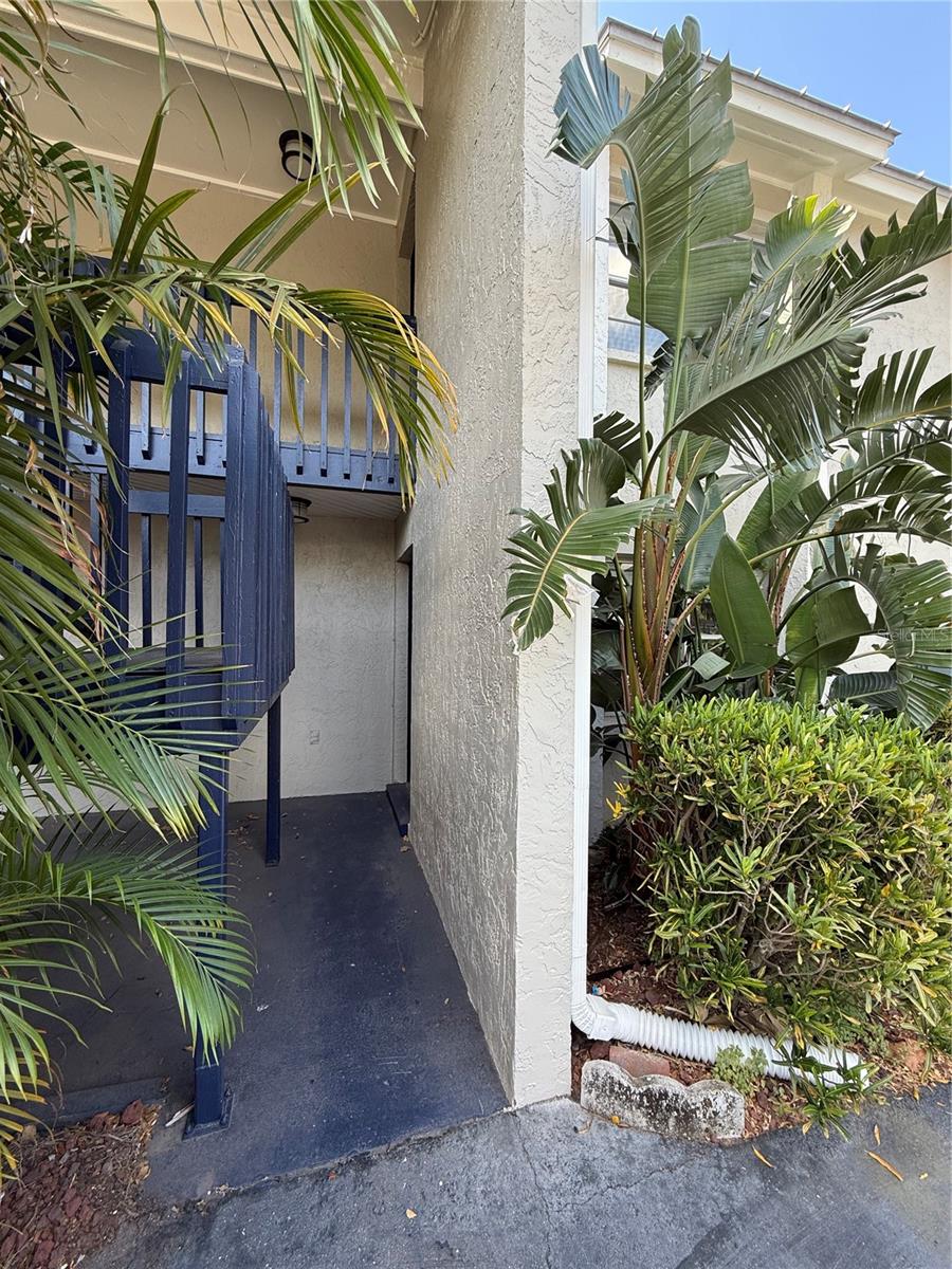 Image 8 of 8 For 306 Habana Avenue 3