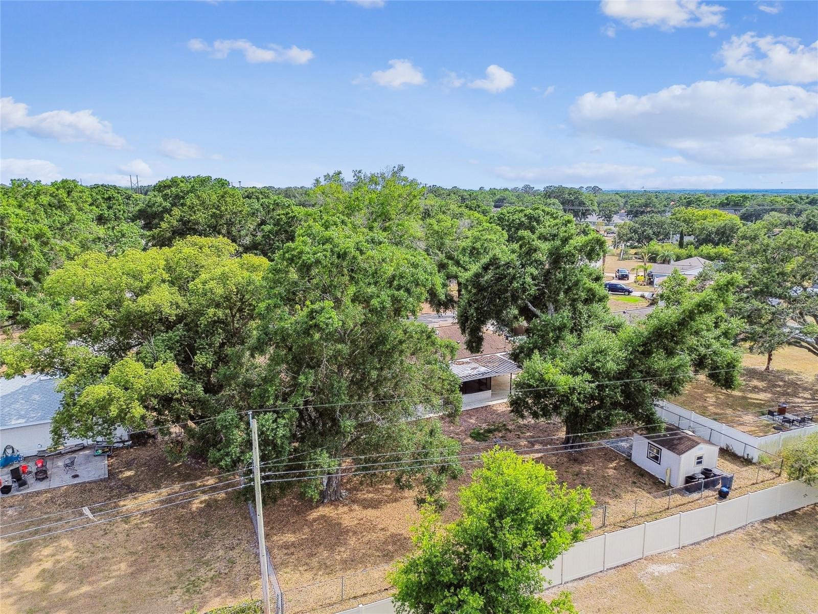 Image 77 of 81 For 1102 Shadowbrook Drive N