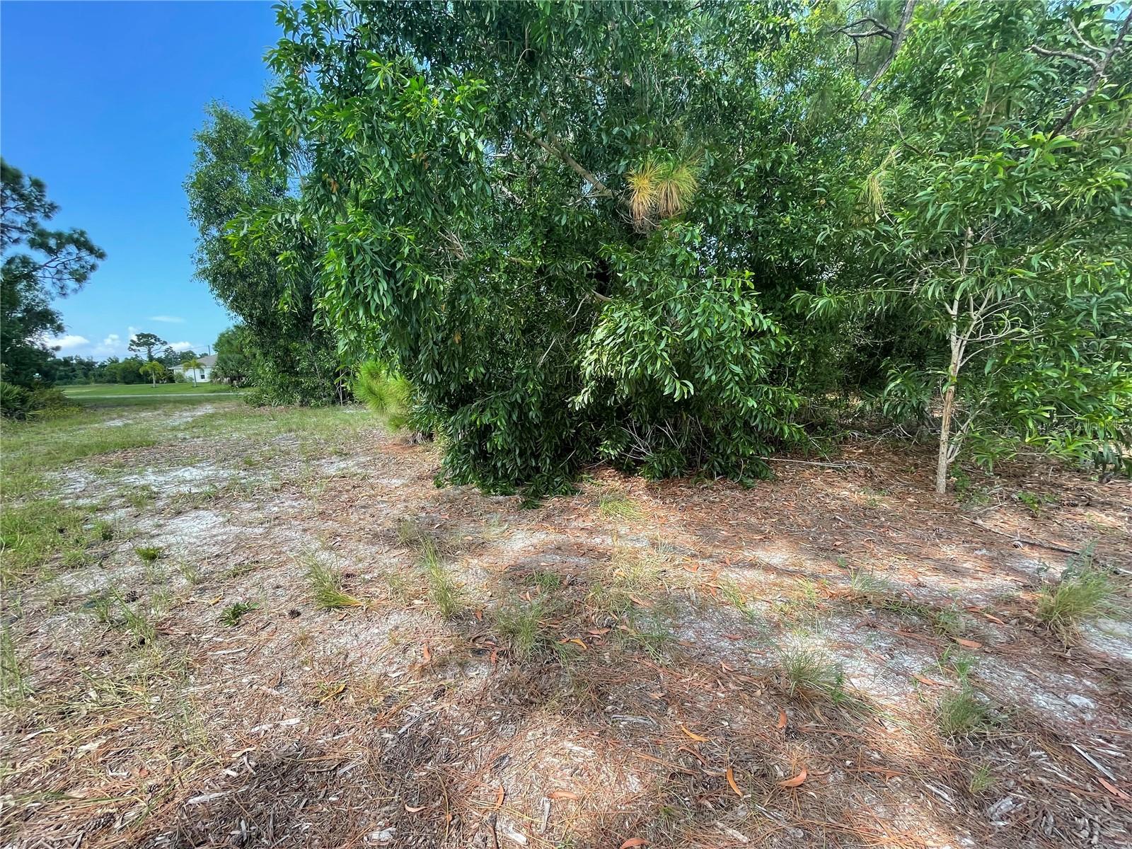 Image 11 of 13 For 4513 34th Place