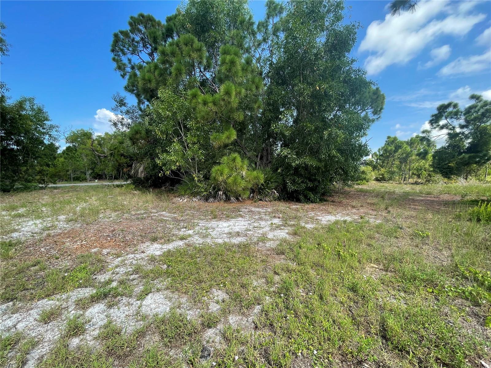 Image 8 of 13 For 4513 34th Place