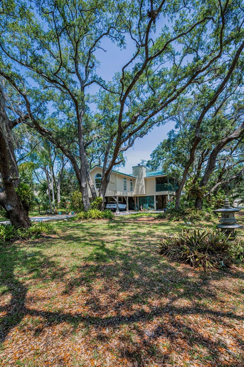 Listing photo id 10 for 420 Hanby Street