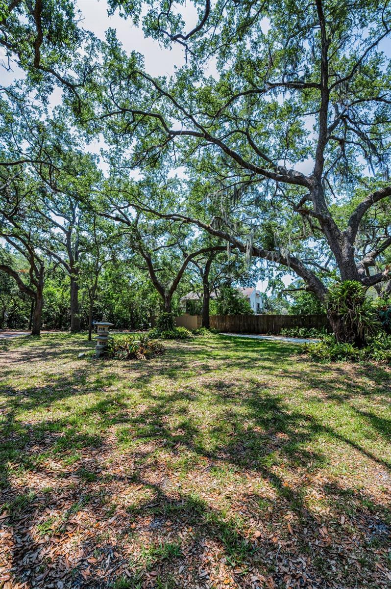 Listing photo id 5 for 420 Hanby Street