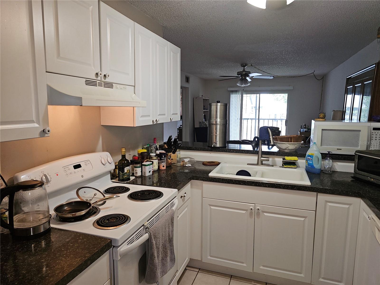 Listing photo id 3 for 11201 122nd Avenue 126