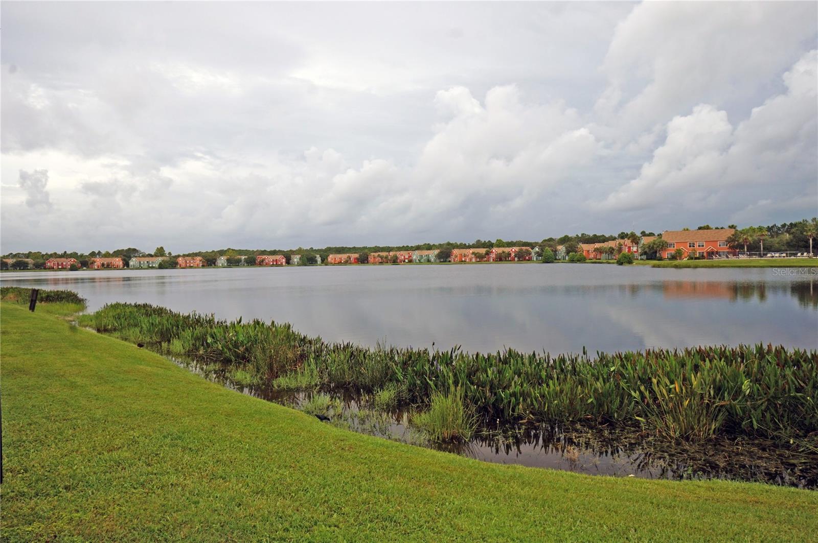 Image 34 of 35 For 9850 Lake Chase Island Way 9850