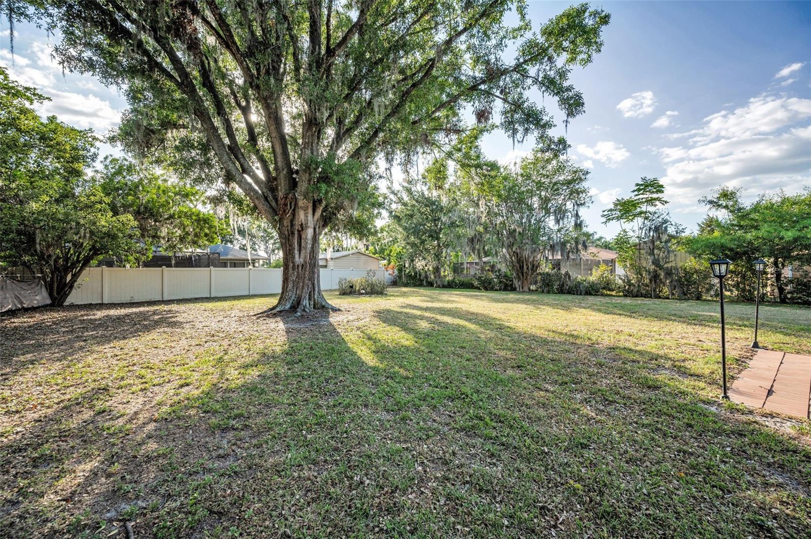 Image 42 of 48 For 3047 Lake Padgett Drive