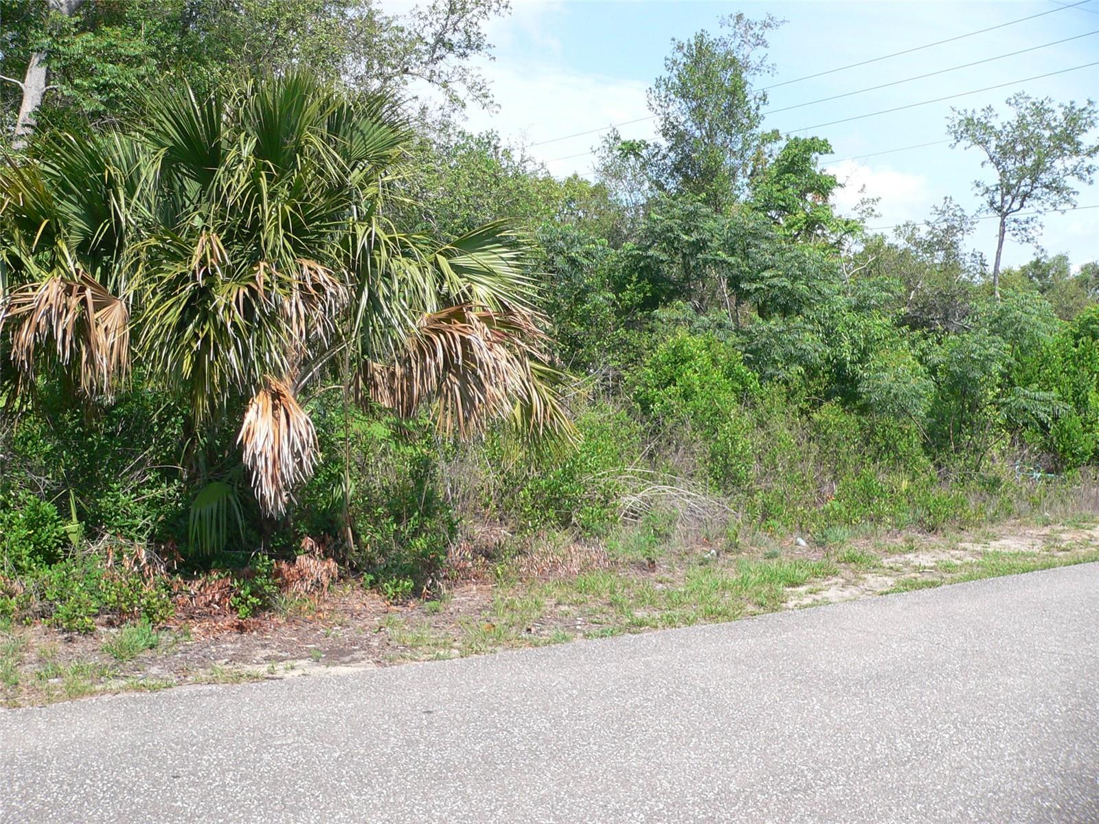 Listing photo id 3 for 11407 Linden Drive