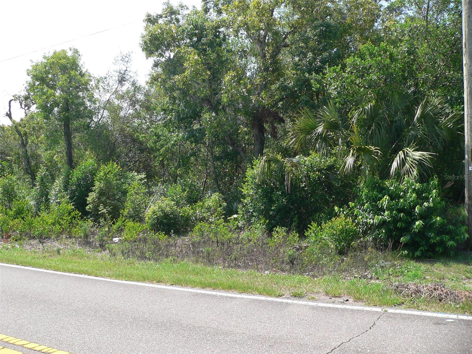 Listing photo id 4 for 11407 Linden Drive