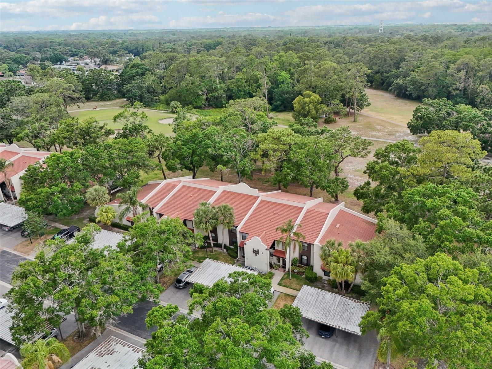 Details for 3505 Tarpon Woods Boulevard K409, PALM HARBOR, FL 34685