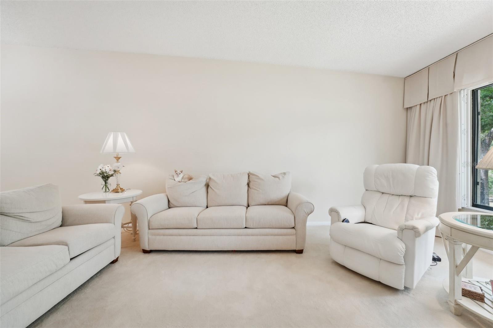 Image 20 of 46 For 3505 Tarpon Woods Boulevard K409