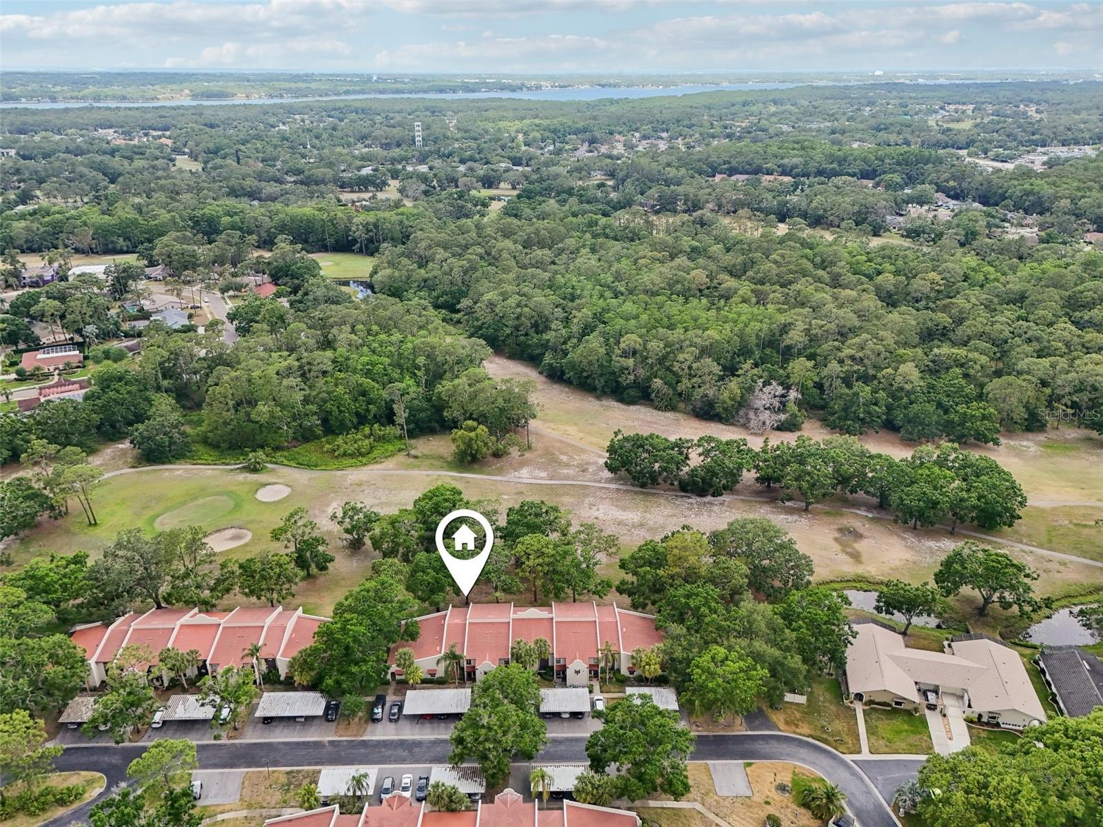 Image 35 of 46 For 3505 Tarpon Woods Boulevard K409