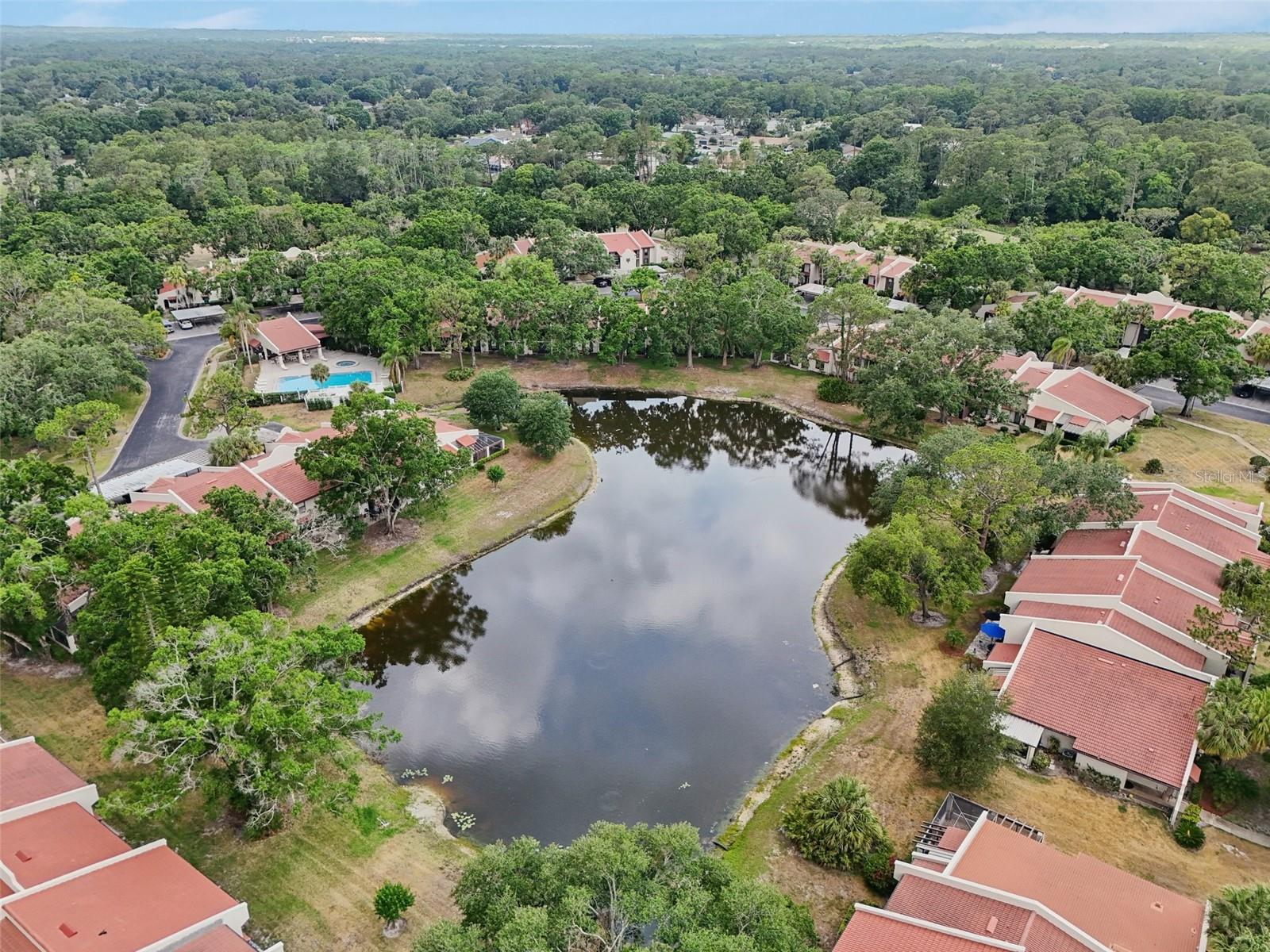 Image 41 of 46 For 3505 Tarpon Woods Boulevard K409