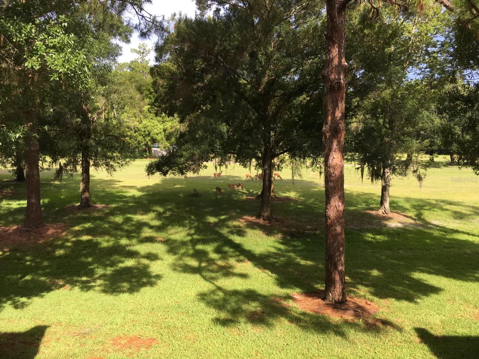 Image 45 of 46 For 3505 Tarpon Woods Boulevard K409