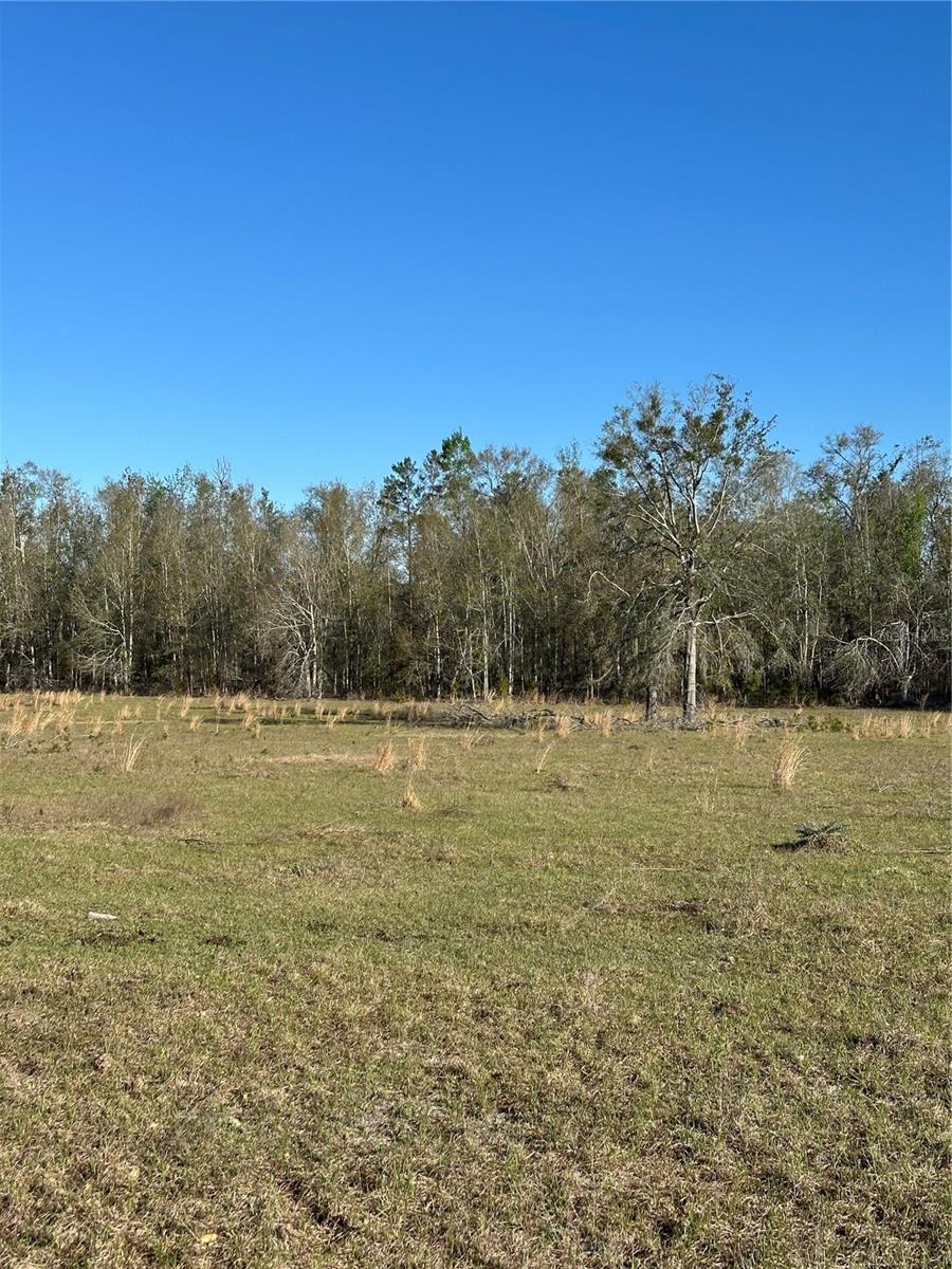 Image 10 of 39 For 7202 County Road 143