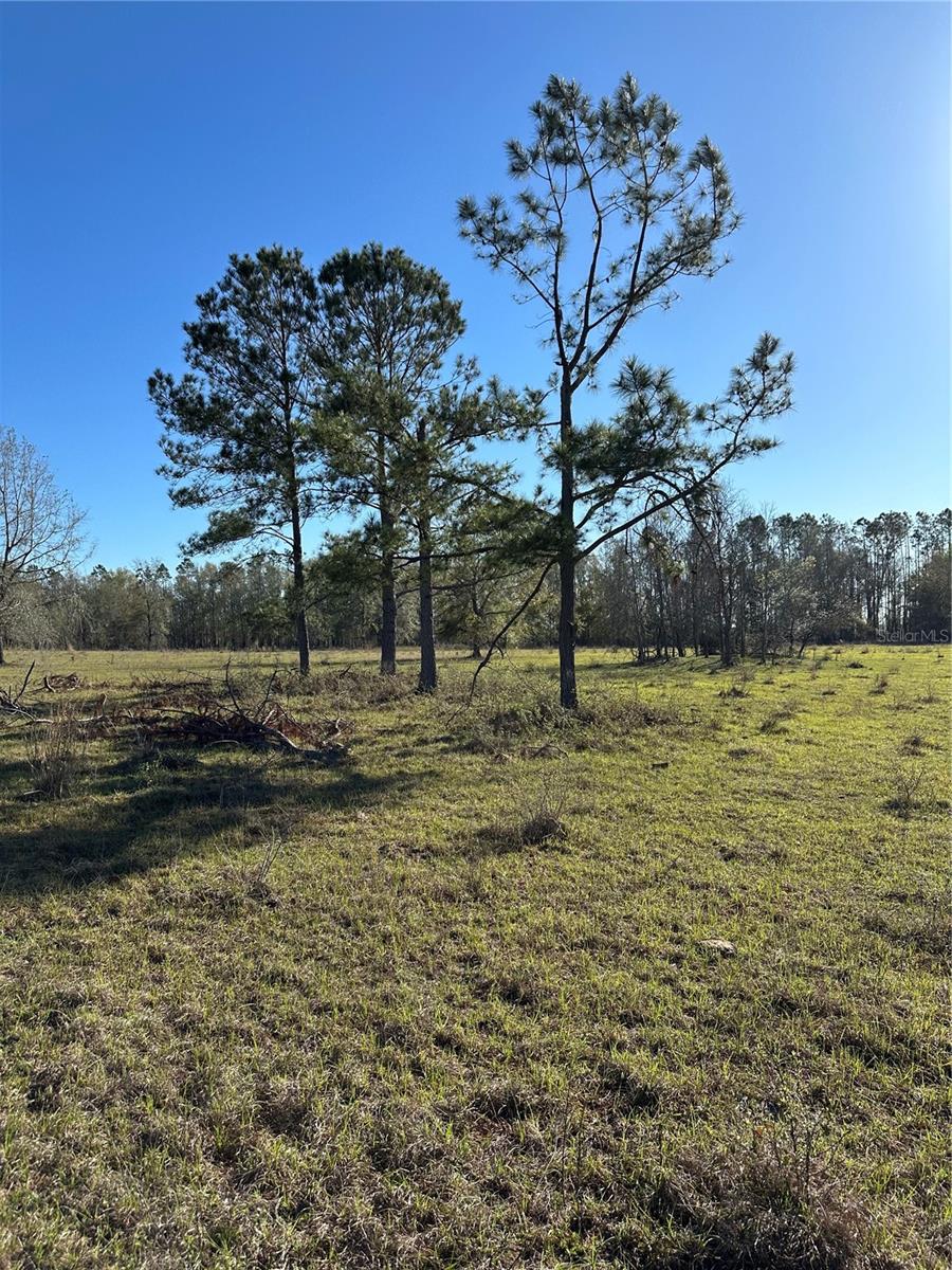 Image 12 of 39 For 7202 County Road 143