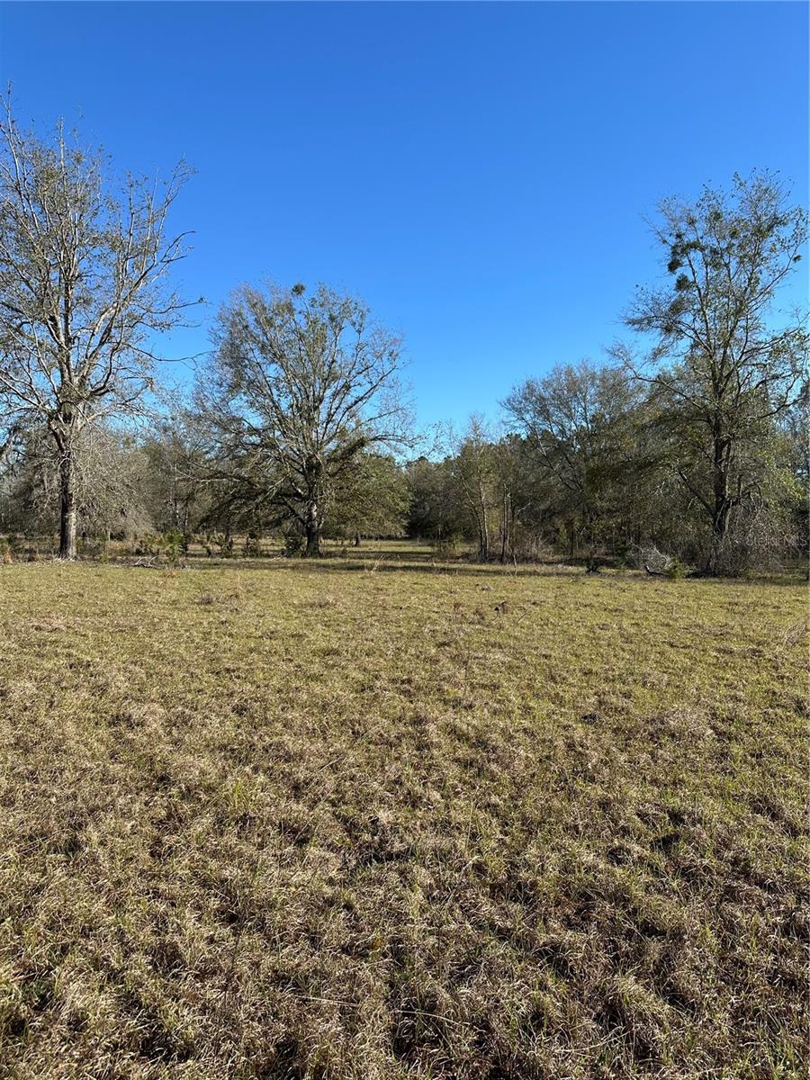 Image 13 of 39 For 7202 County Road 143