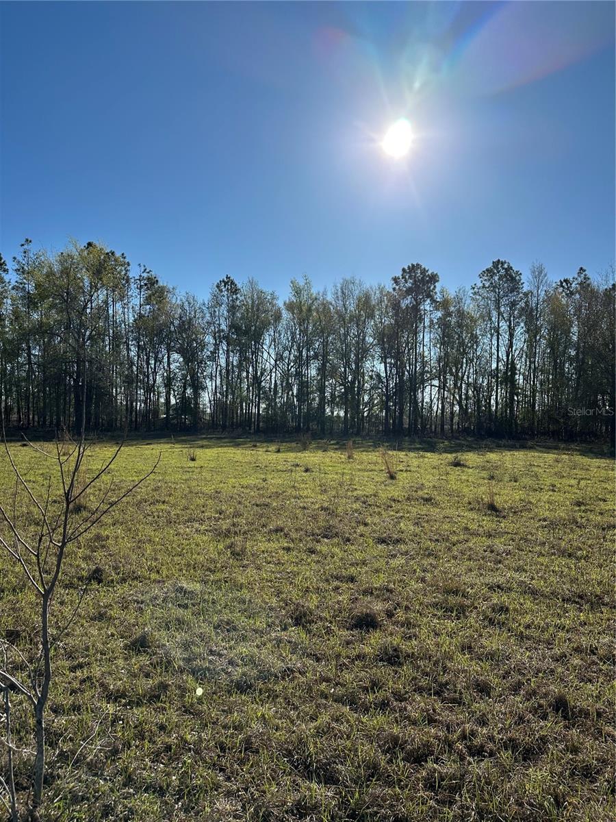 Image 14 of 39 For 7202 County Road 143