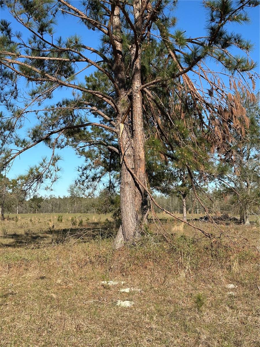 Image 16 of 39 For 7202 County Road 143