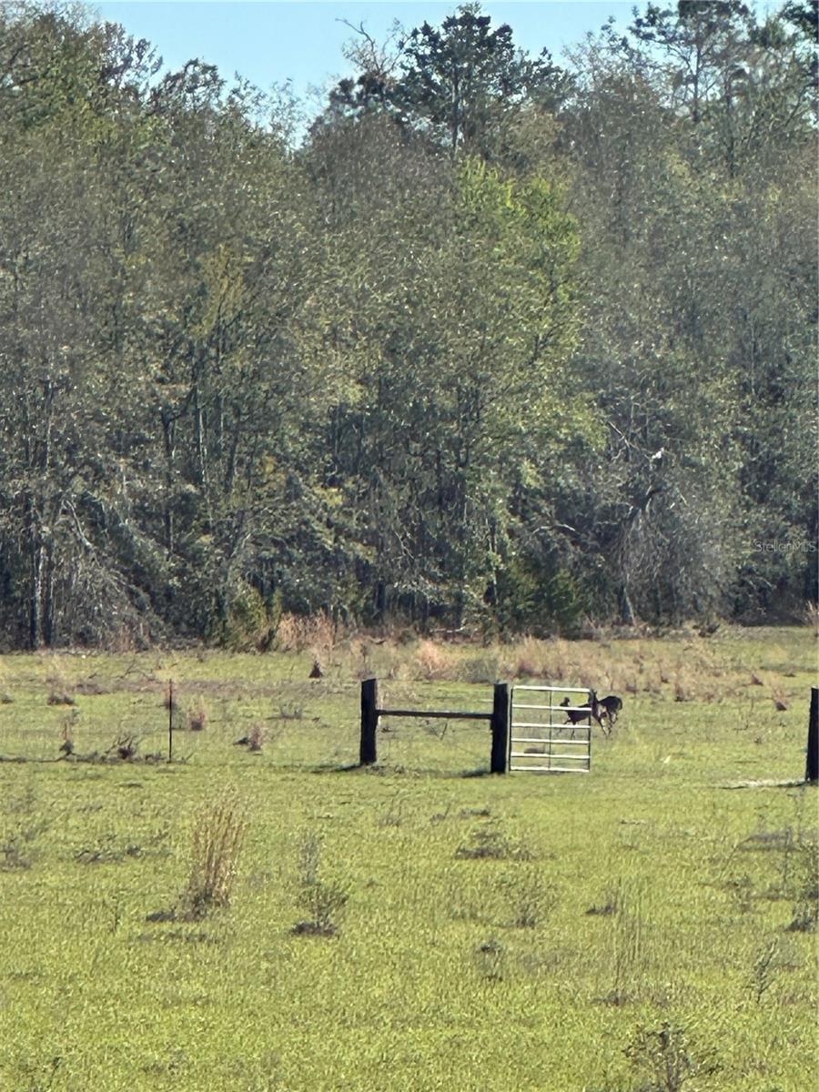 Image 17 of 39 For 7202 County Road 143