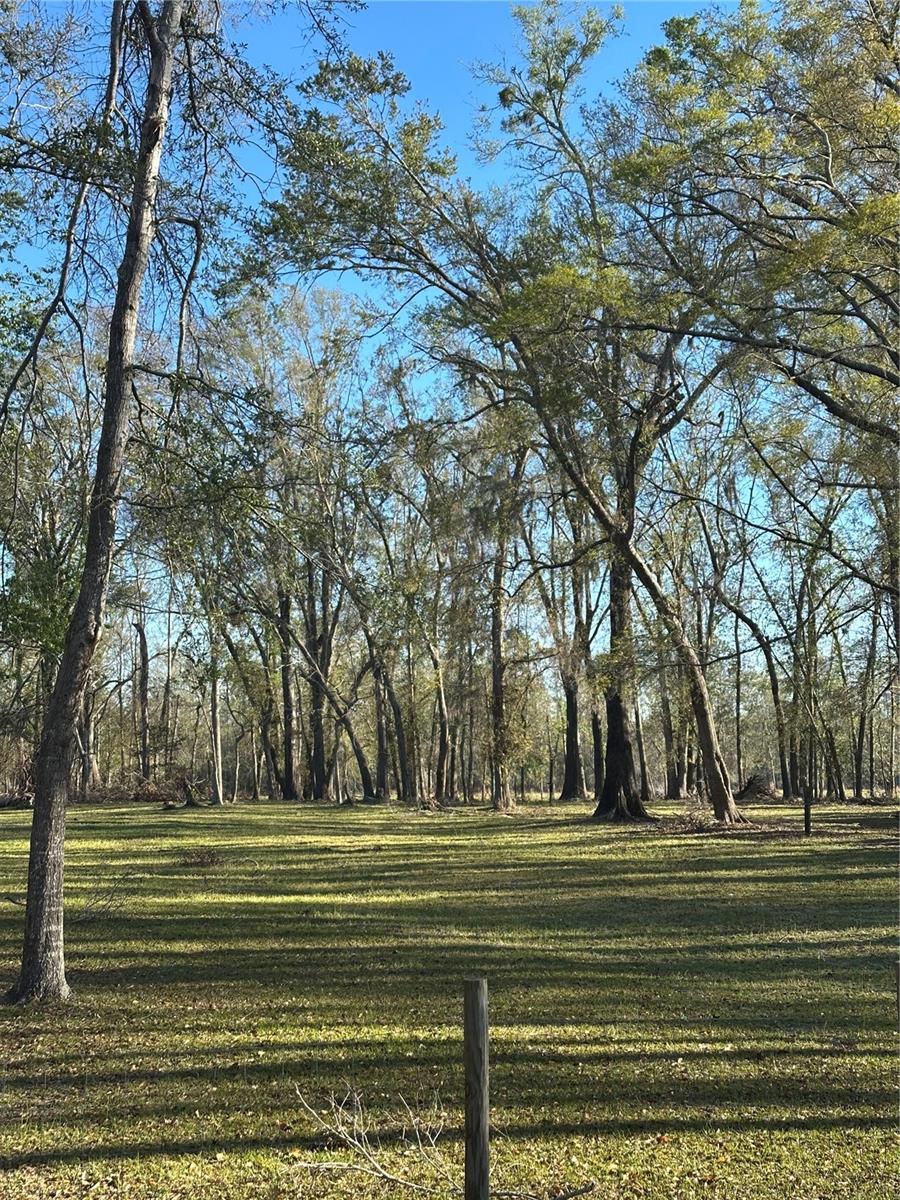 Image 4 of 39 For 7202 County Road 143