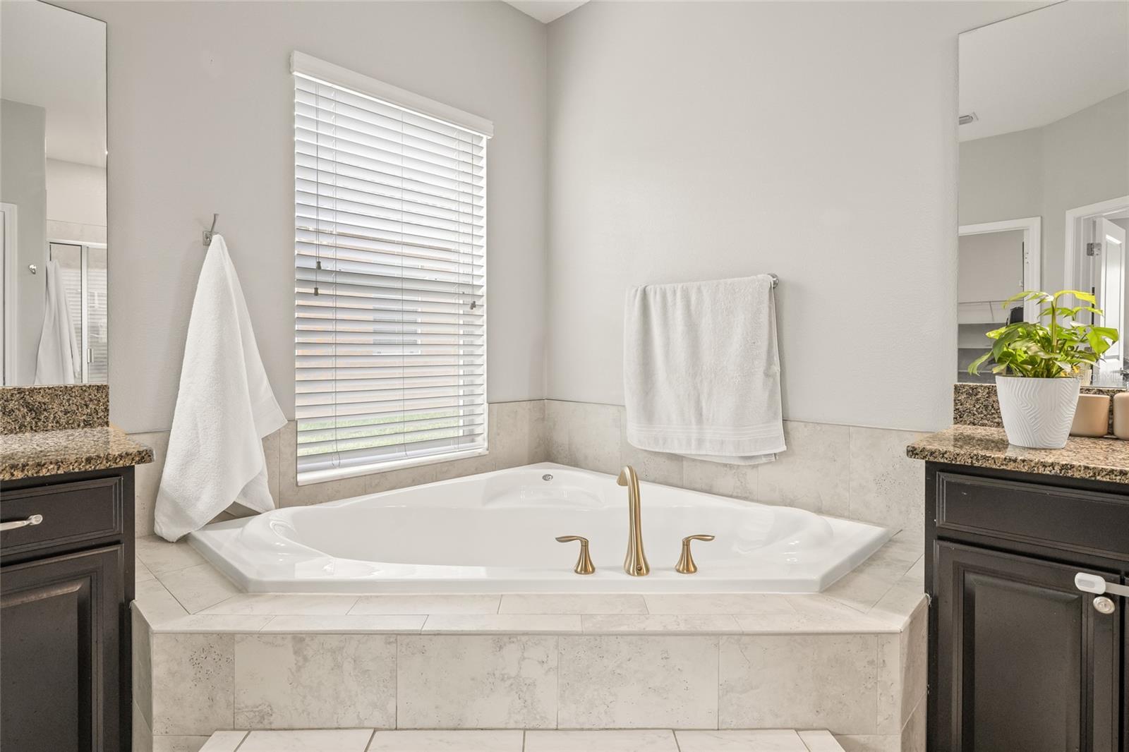 Image 25 of 55 For 3212 Calvano Drive