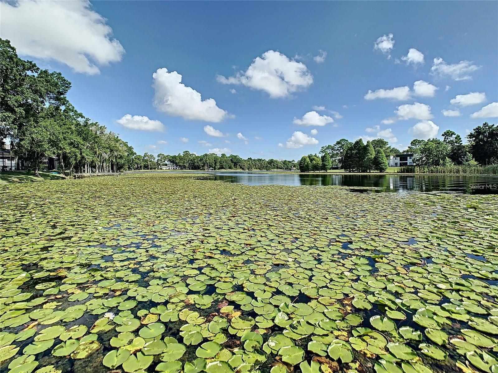 Image 33 of 33 For 9722 Tiffany Oaks Lane