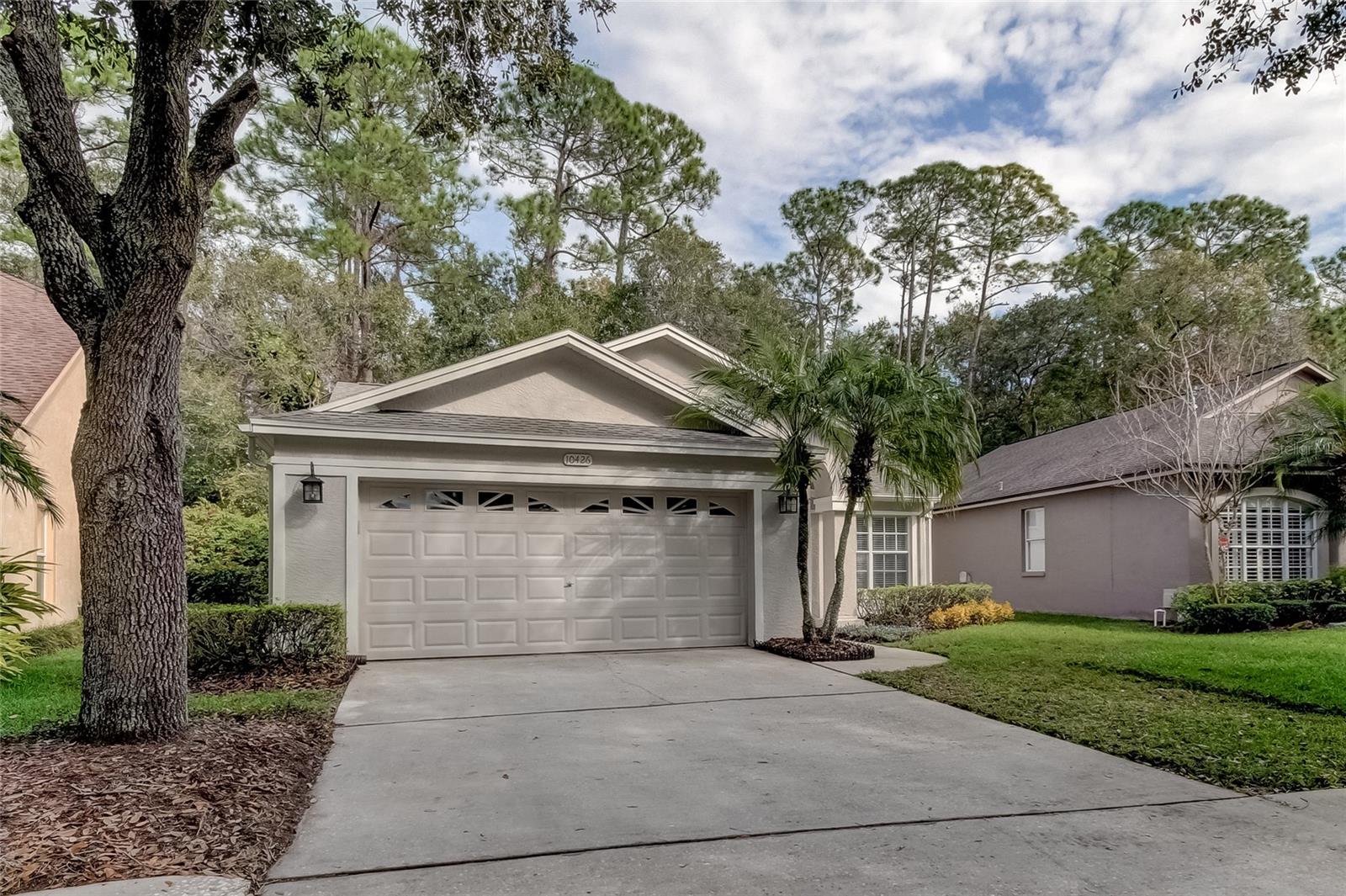 Details for 10426 Springrose Drive, TAMPA, FL 33626