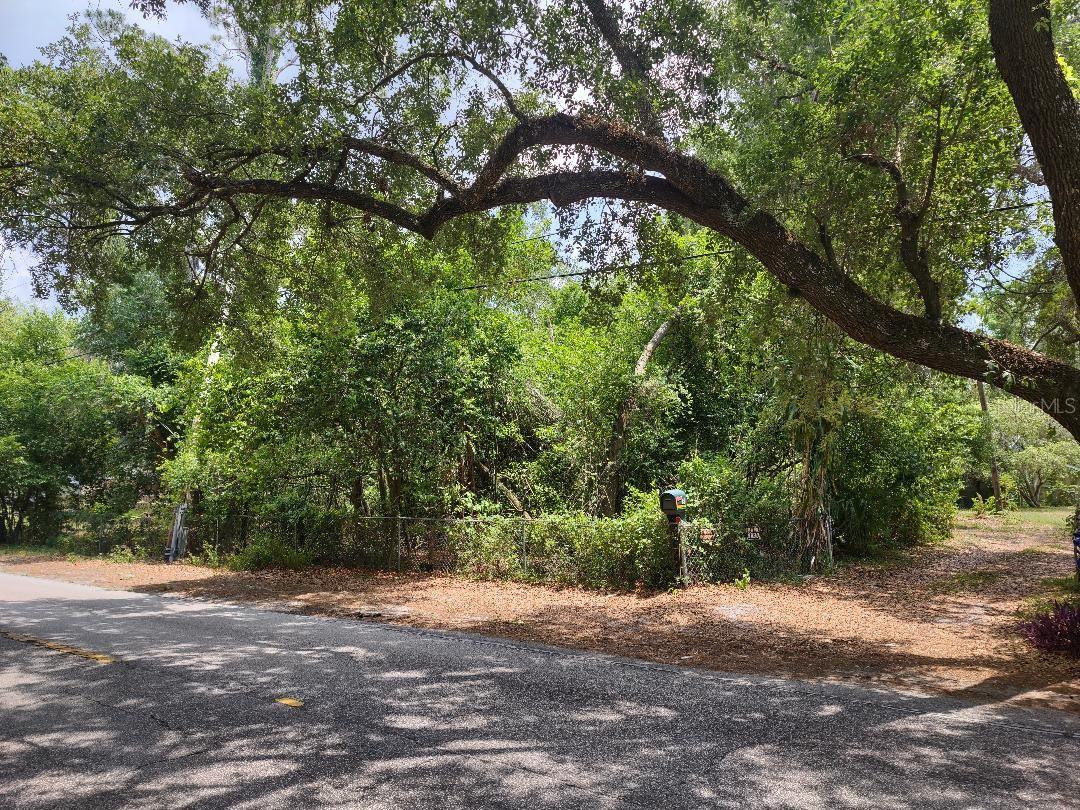Details for 1819 Sinclair Hills Road, LUTZ, FL 33549