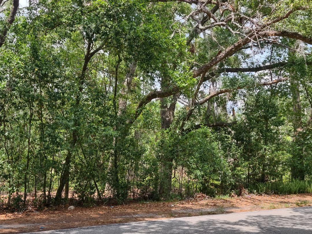 Image 7 of 9 For 1819 Sinclair Hills Road