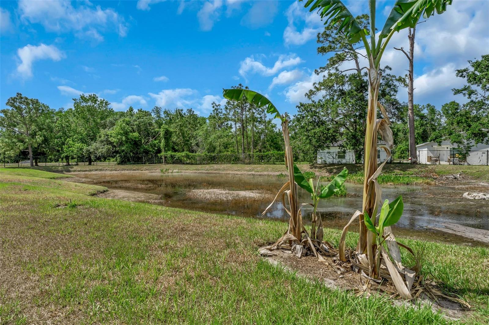 Image 31 of 34 For 12319 Rose Haven Boulevard