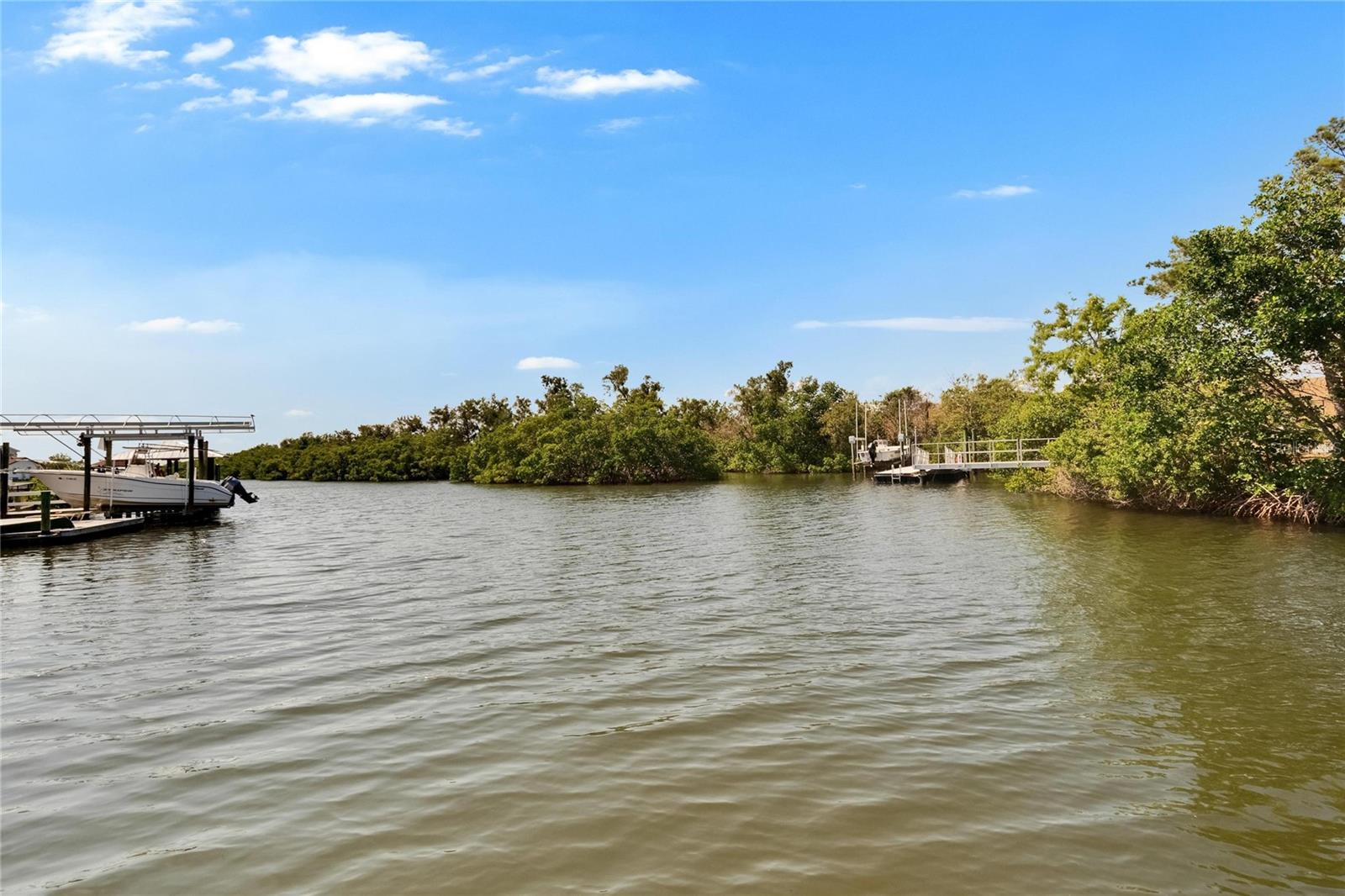 Listing photo id 61 for 6530 Manila Palm Way