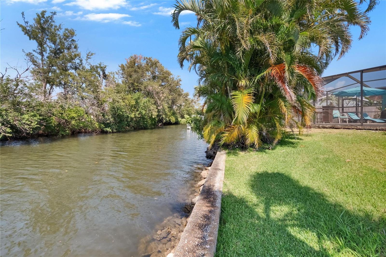 Listing photo id 64 for 6530 Manila Palm Way