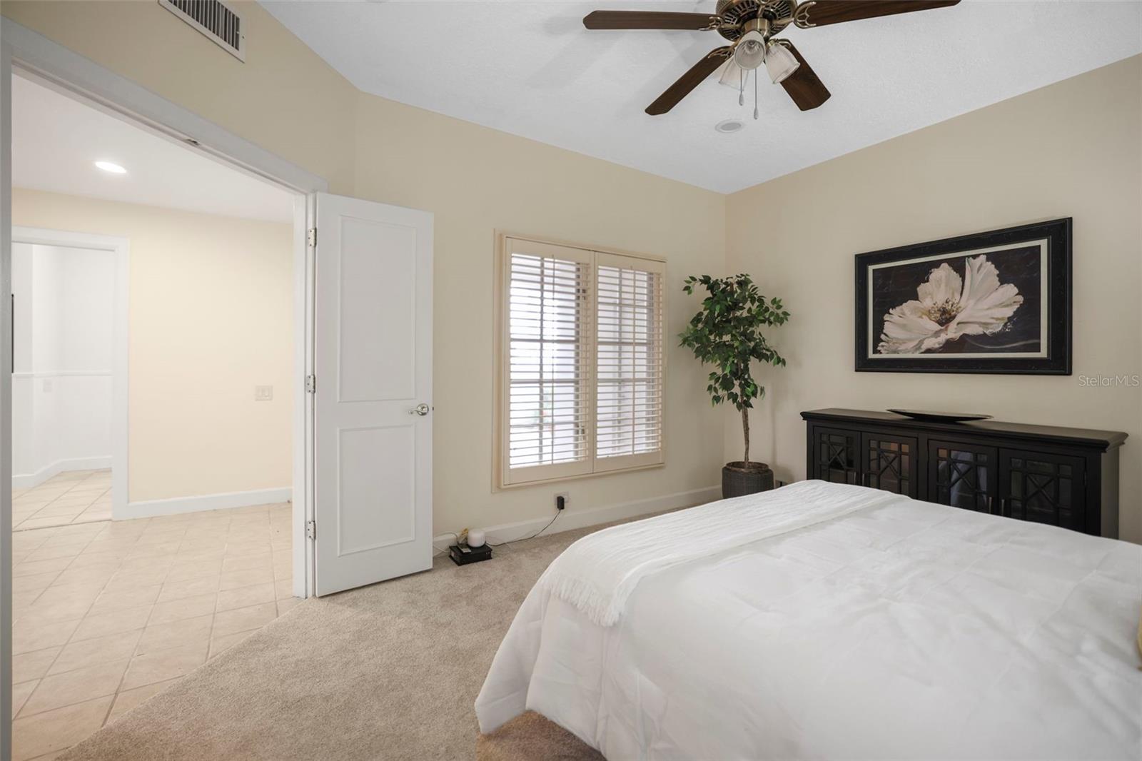 Image 18 of 66 For 4941 Bayshore Boulevard