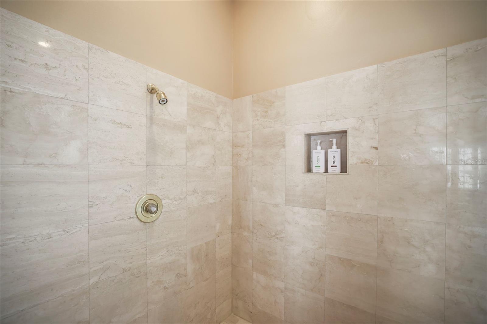 Image 49 of 66 For 4941 Bayshore Boulevard