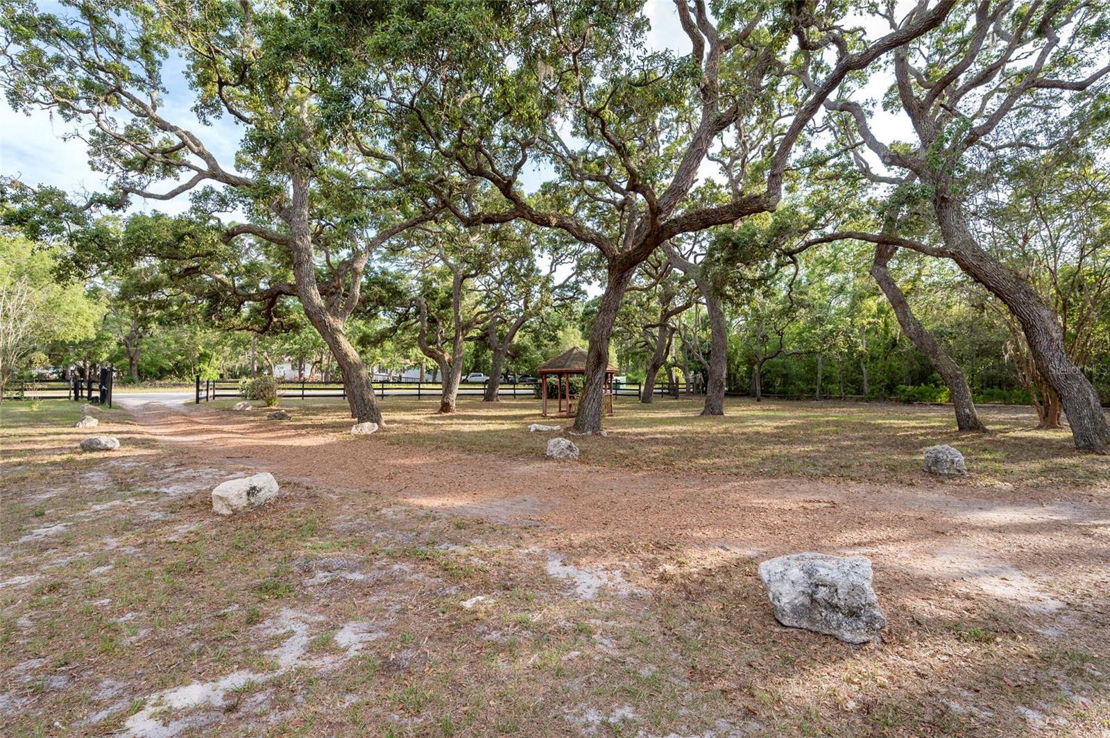 Listing photo id 19 for 12311 Oakwood Drive
