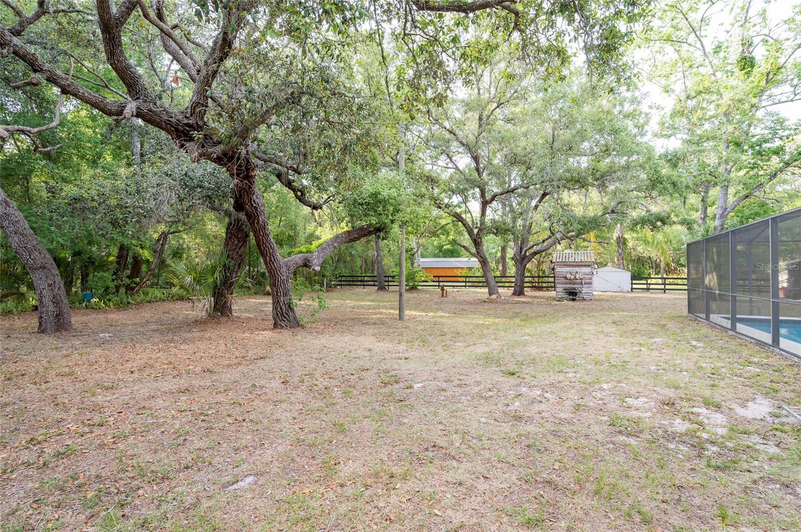 Listing photo id 23 for 12311 Oakwood Drive