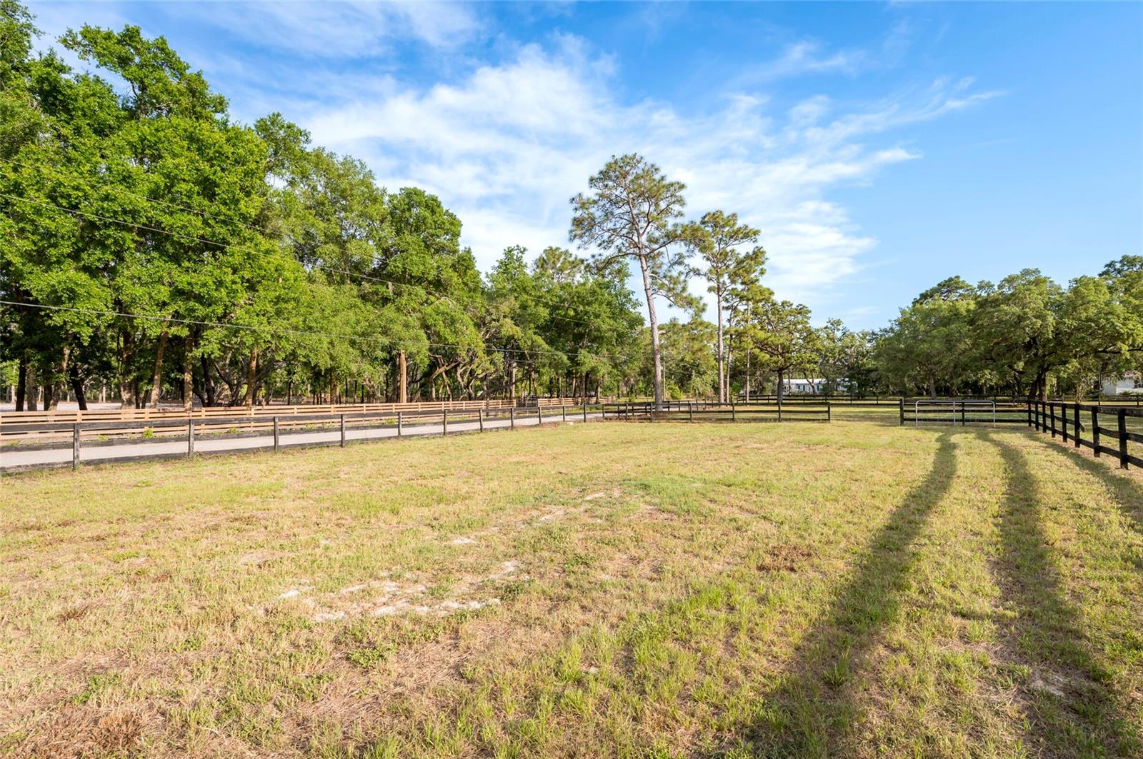 Listing photo id 36 for 12311 Oakwood Drive