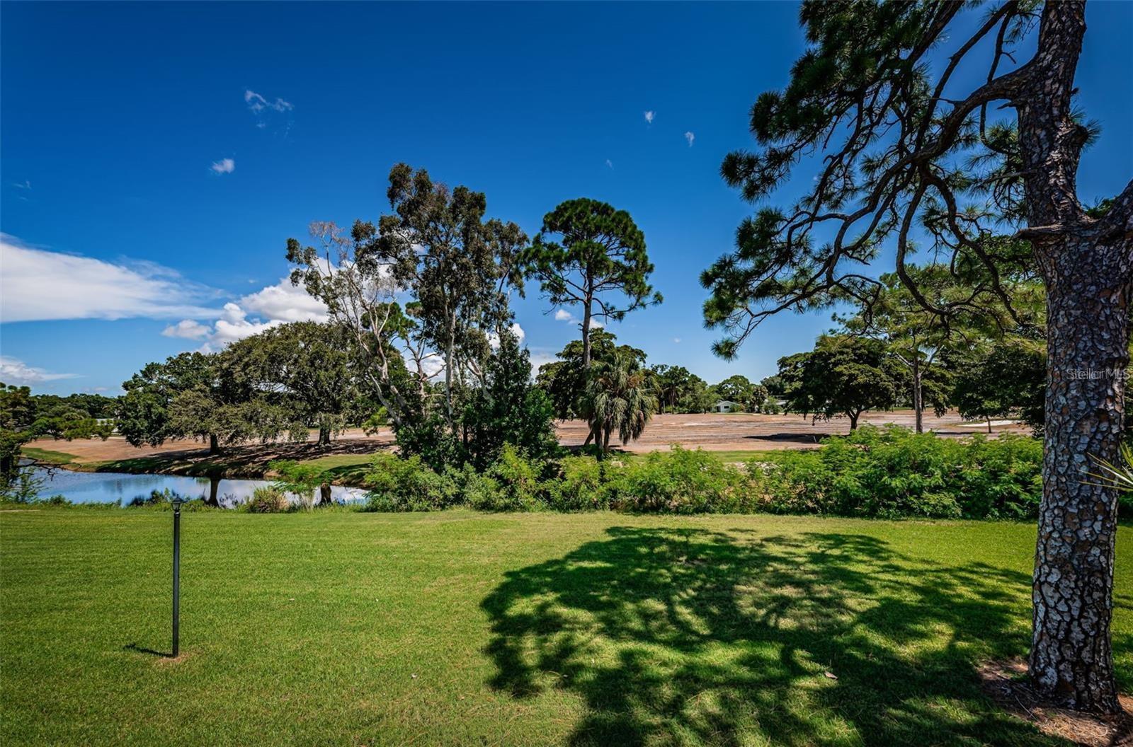 Image 9 of 52 For 2117 Lakewood Club Drive S 7k