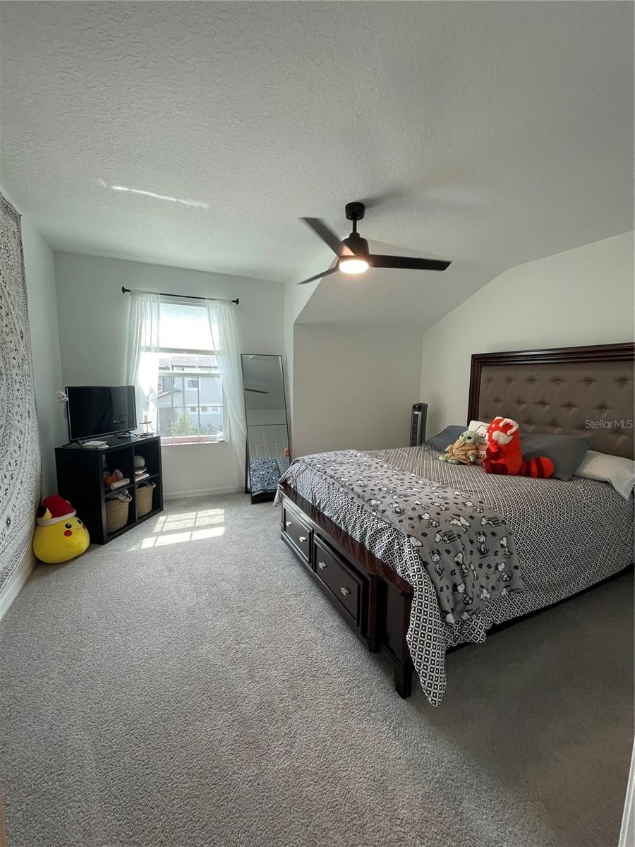 Image 20 of 36 For 7491 Notched Pine Bend