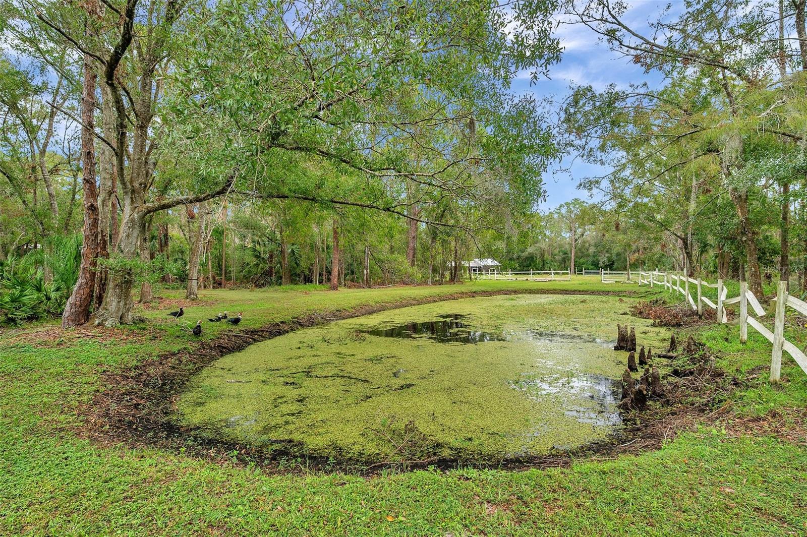 Listing photo id 8 for 655 Appaloosa Road