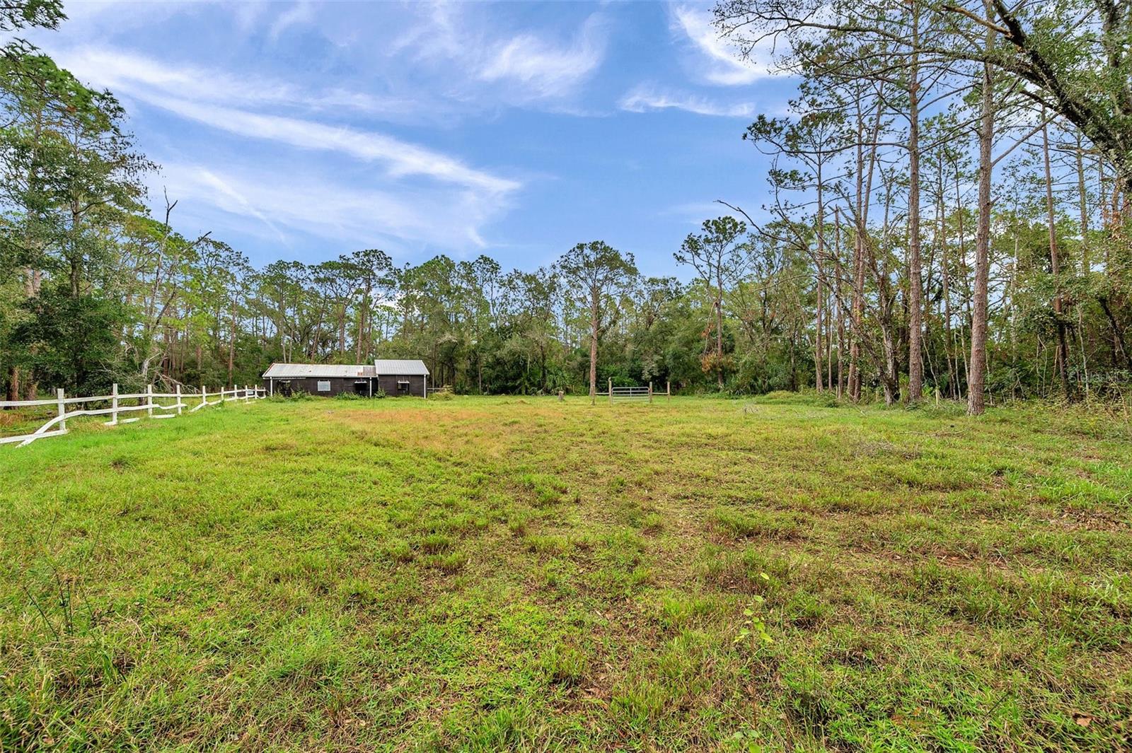 Listing photo id 9 for 655 Appaloosa Road