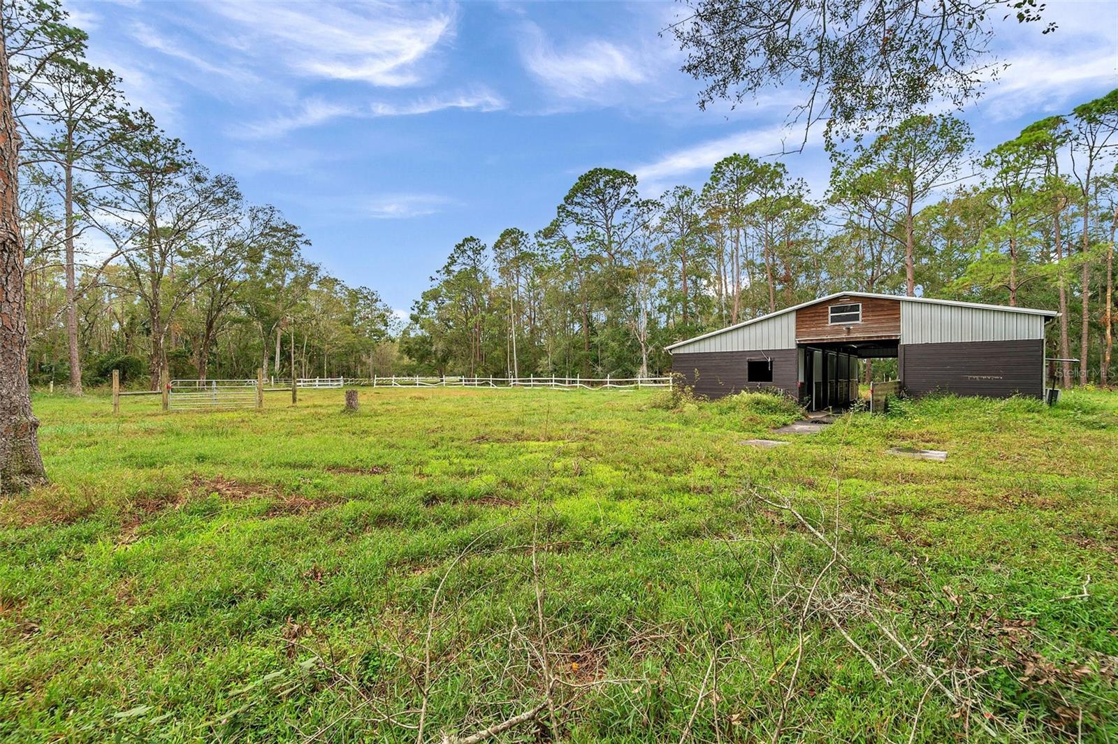 Listing photo id 10 for 655 Appaloosa Road