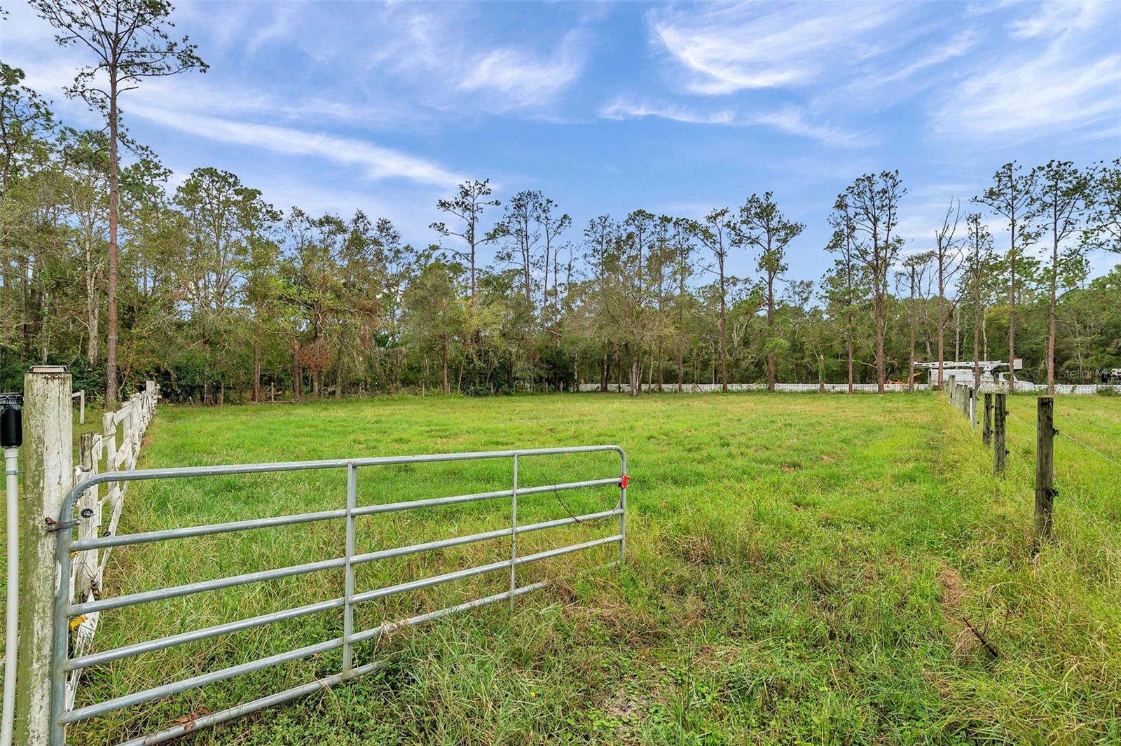 Listing photo id 7 for 655 Appaloosa Road