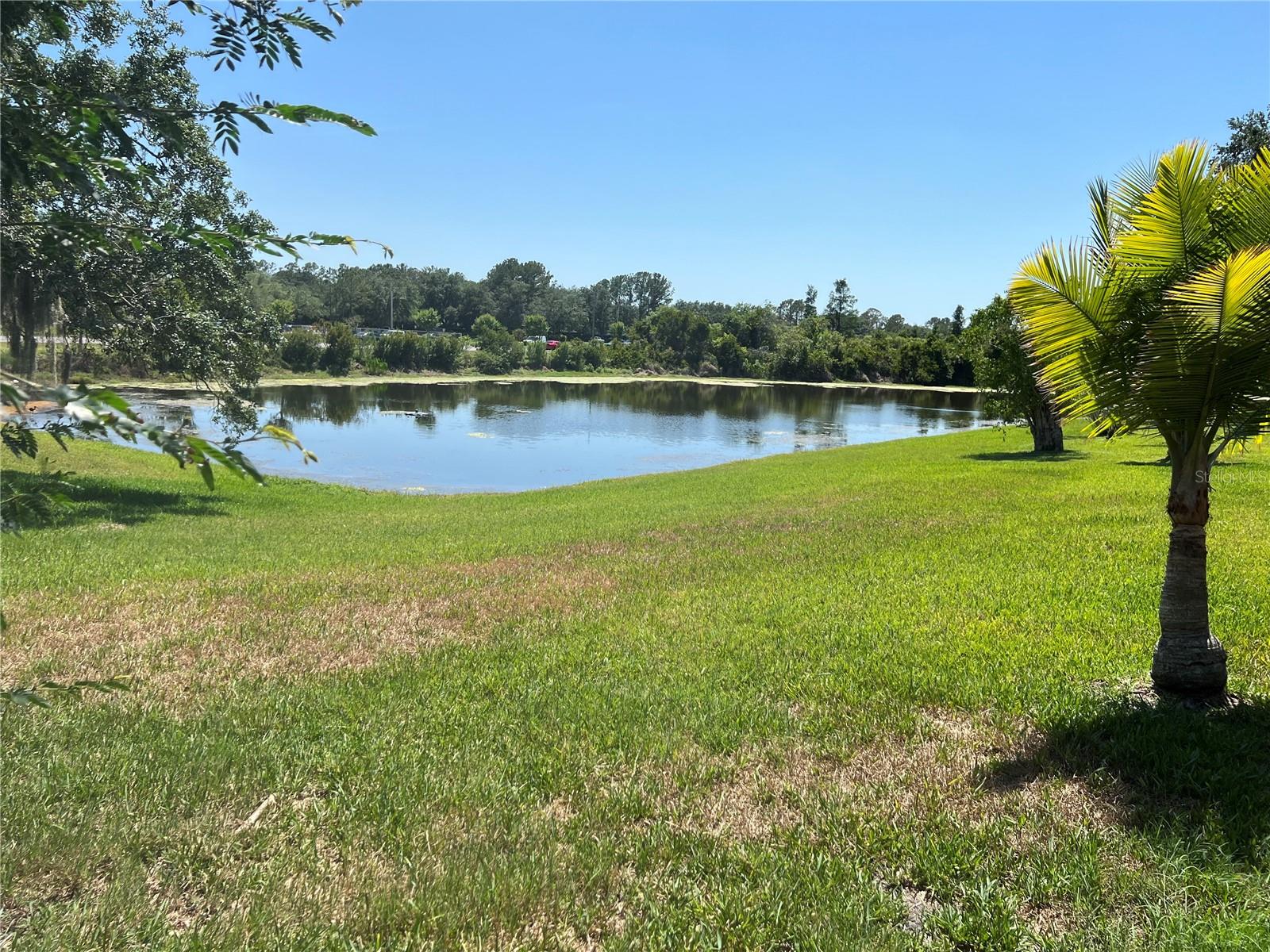 Image 43 of 46 For 18104 Sweet Jasmine Drive